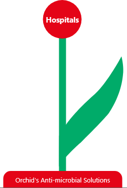 Flower image
